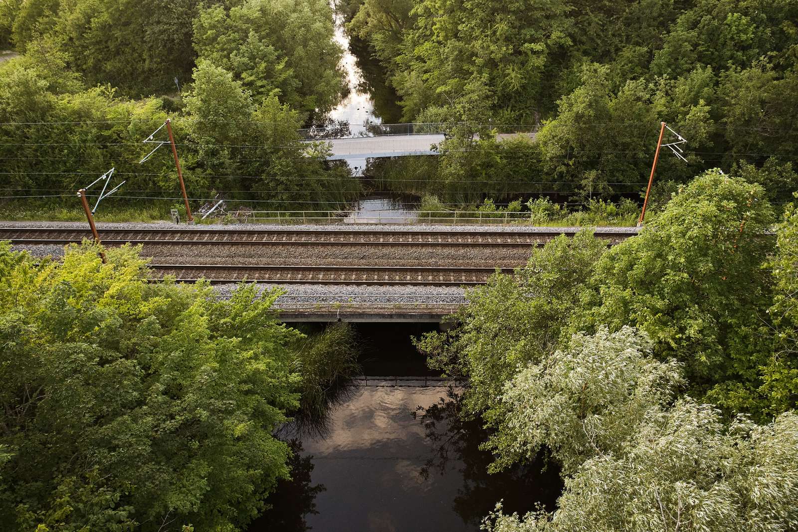 Natur langs jernbanen