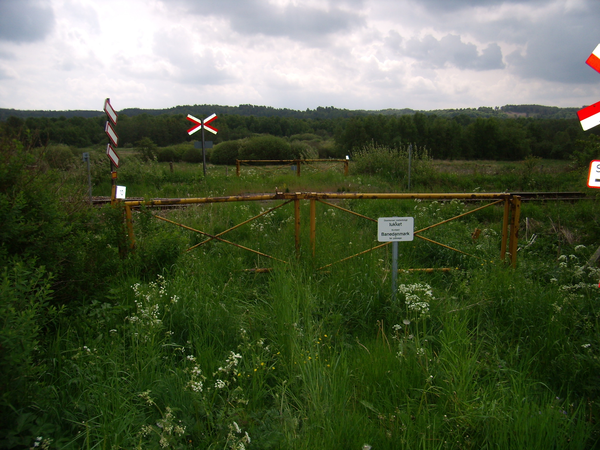 Tilgroet overkørsel