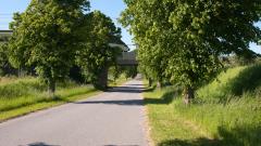 Natur